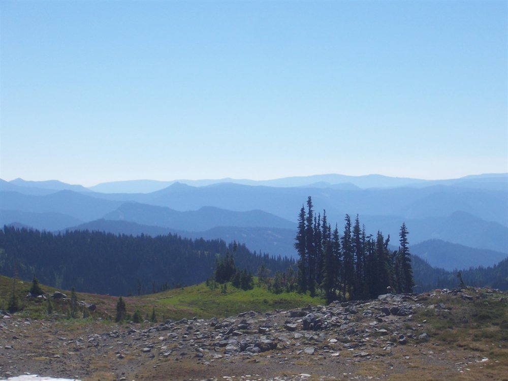 Forested ridgelines fading into haze